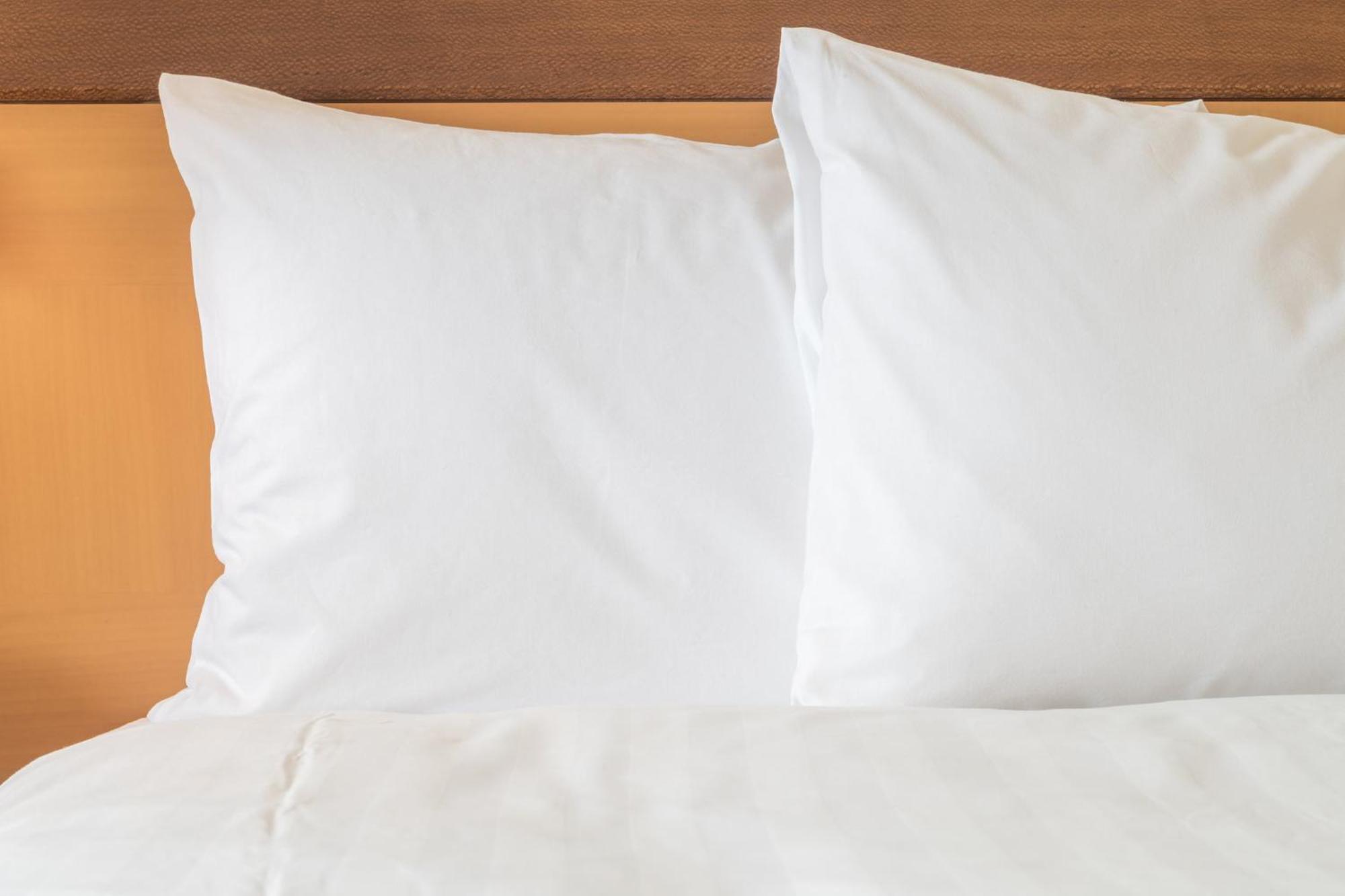 Holiday Inn St. Petersburg N - Clearwater, An Ihg Hotel Ngoại thất bức ảnh